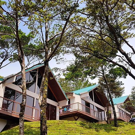 Green Forest Rustic Houses Monteverde Extérieur photo